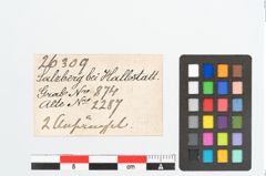 Etikett zu Bronzeklapperblechanhänger (NHMW-PRAE-026309)